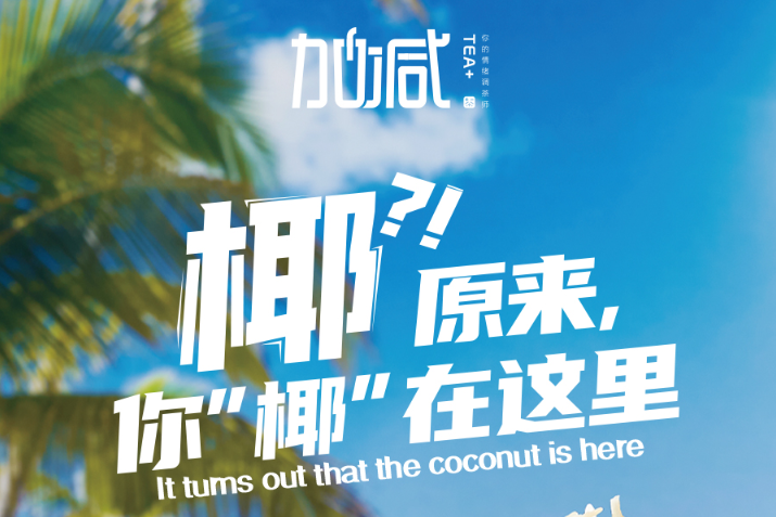 G22恒峰椰子系列新品火爆上市